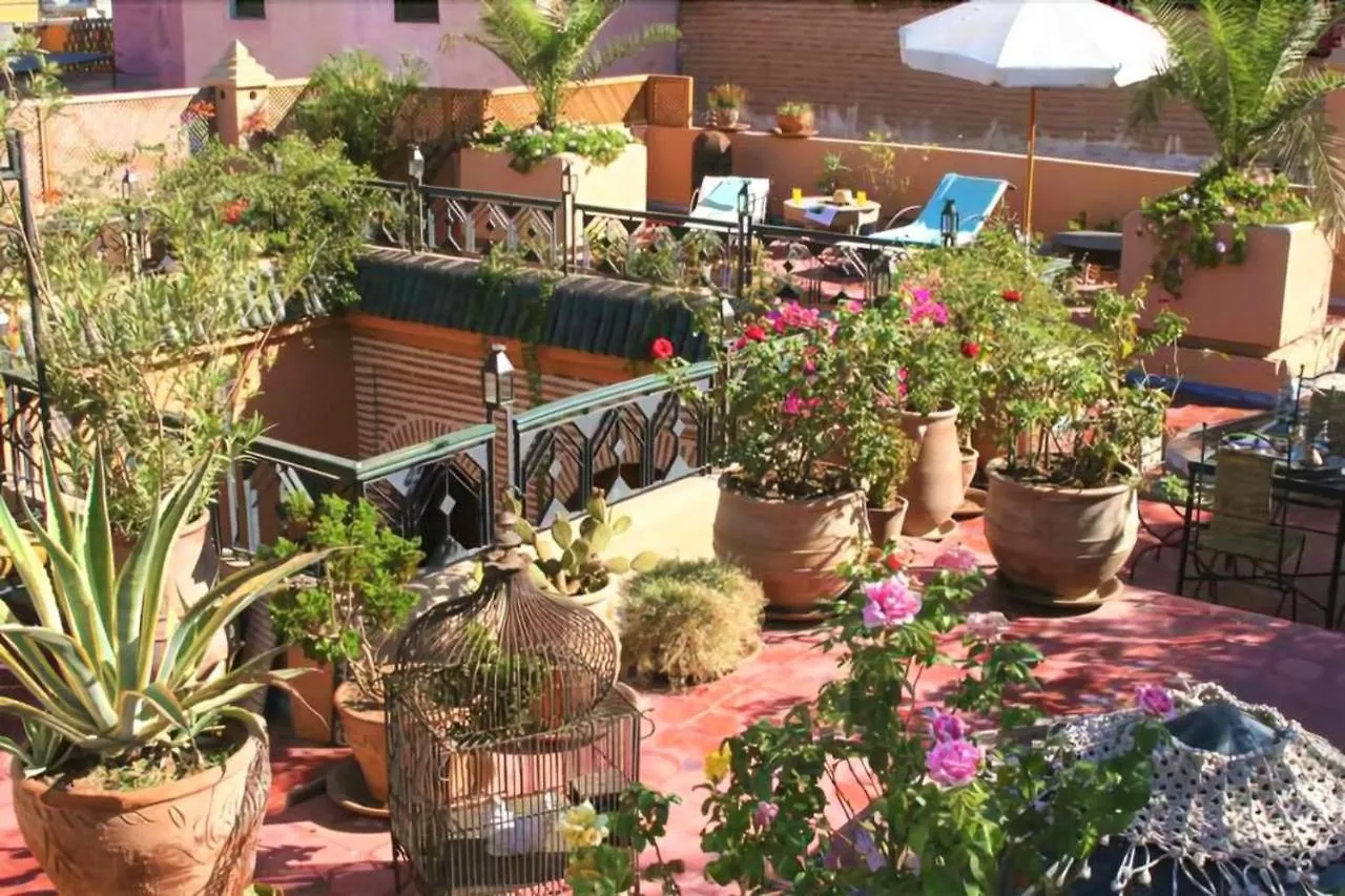 Riad Zarka By La Siredrah Marrakesh